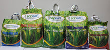 Load image into Gallery viewer, Seeragasamba Rice - 10LB (Premium Quality)
