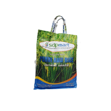 Load image into Gallery viewer, Ponni Raw Rice - 10LB (Premium Quality)
